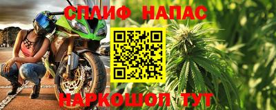 стаф Боровичи