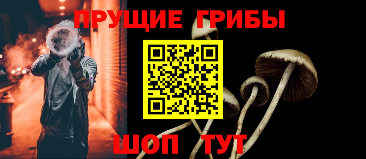 Самара  наркошоп  Галлюциногенные грибы MAGIC MUSHROOMS  Вход с VPN  Псилоцибиновые грибы Magic Shrooms 